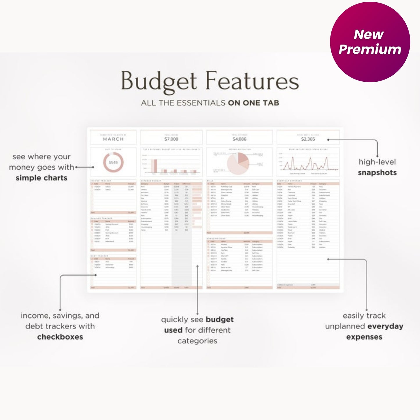 Blush Pink Budget Planner | Monthly Financial Tracker | Simple Google Sheets Budget Spreadsheet | Easy Budgeting Tool