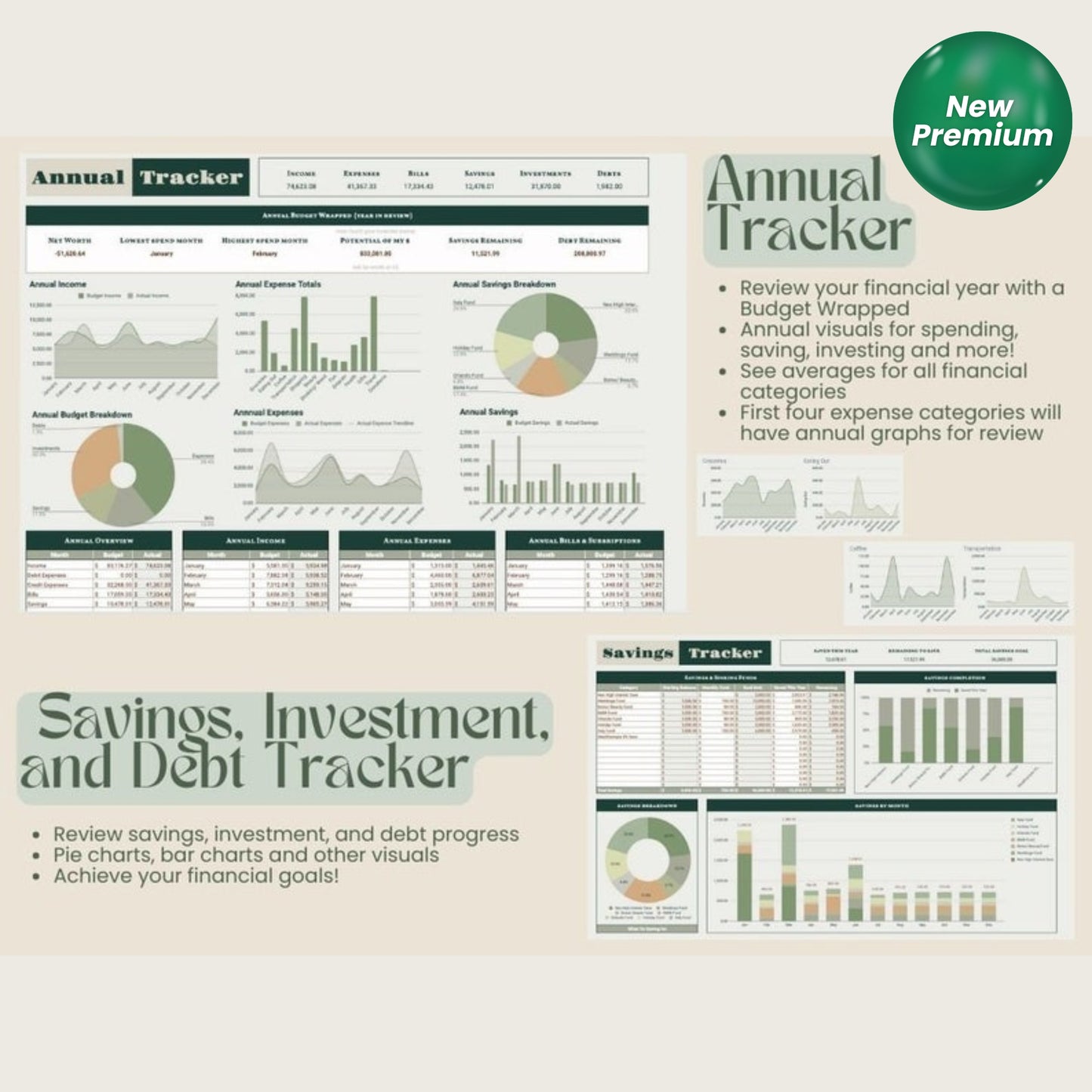 Annual Budget & Goal Tracker for Credit Card Users – Google Sheets Template with How-To Video