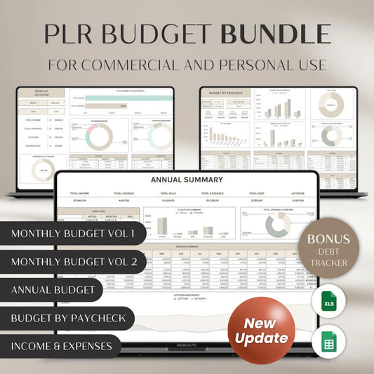PLR Digital Monthly Budget Spreadsheet Bundle | Budget Planner Excel & Google Sheets Templates | Debt Payoff, Income Tracker, Financial Organizer