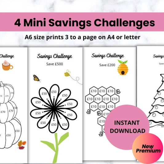 Mini Budget Challenge | ADHD Friendly Savings Goal Tracker | A6 Cash Envelope Inserts | Sinking Fund Tracker | Budget Binder Printables | Digital Download