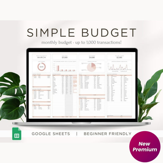 Blush Pink Budget Planner | Monthly Financial Tracker | Simple Google Sheets Budget Spreadsheet | Easy Budgeting Tool