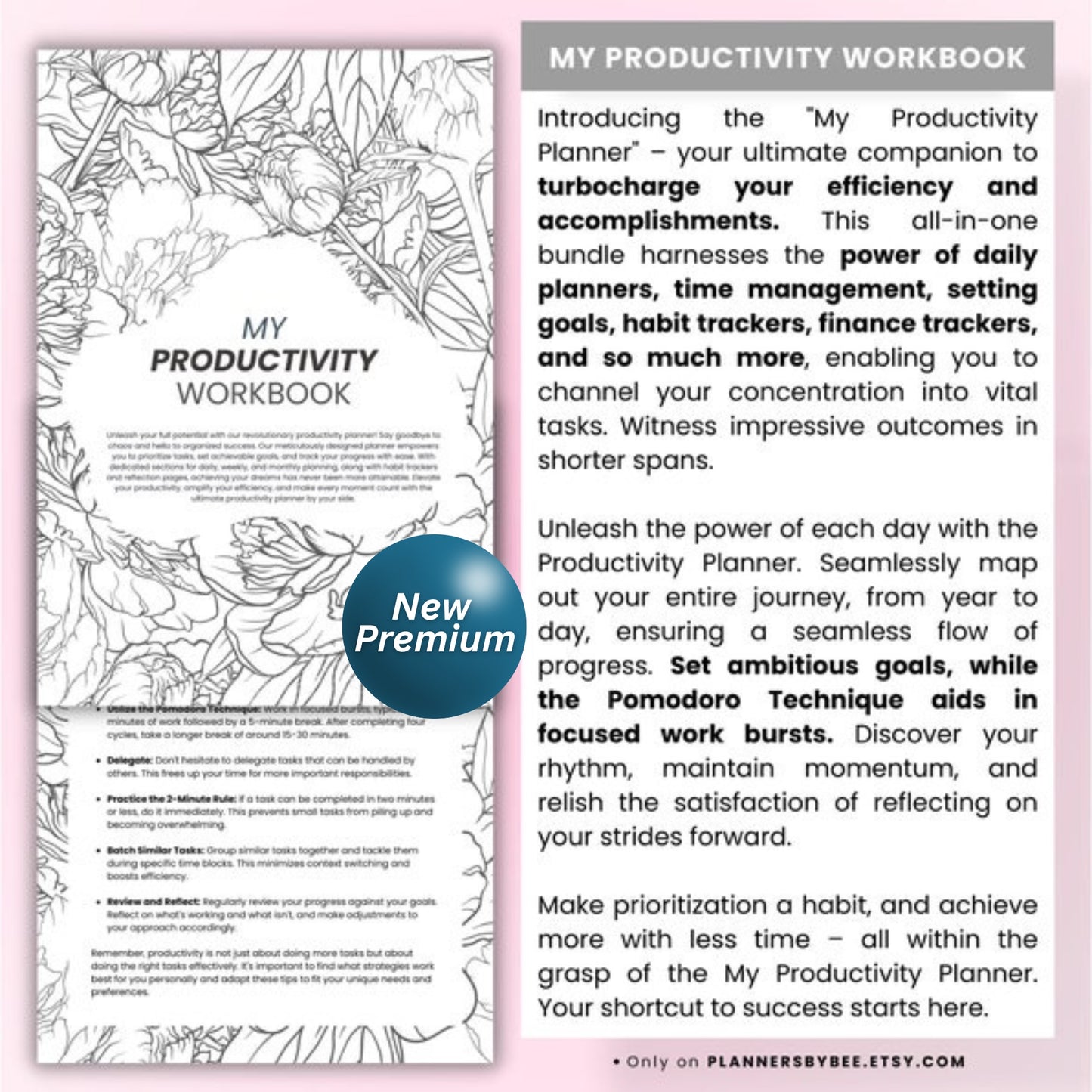 2025 Daily Productivity Planner | Printable & Digital PDF | Goal Setter, Finance Tracker, Life Organizer, ADHD-Friendly Schedule